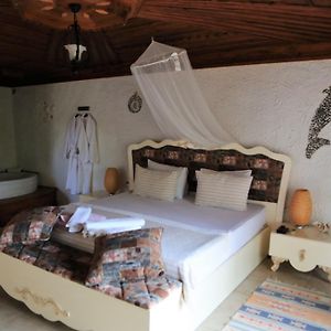 Dolphin Hotel